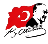 Efsanevi ★ Türk Bayrağı, Ulu Önder Mustafa Kemal Atatürk Önderim ve İmzası (Geçici Dövme)