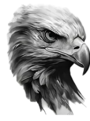 Kuşlar ★ Gergin Kartal Modeli (Geçici Dövme)