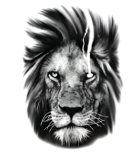 Yırtıcılar ★ Tek Gözlü Aslan Modeli (Geçici Dövme)