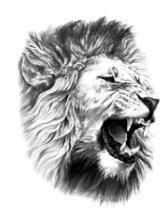 Yırtıcılar ★ Kükreyen Aslan Modeli (Geçici Dövme)