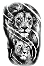 Yırtıcılar ★ Yavru Aslan ve Baba Aslan (Geçici Dövme)