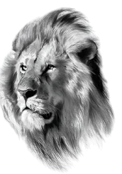 Yırtıcılar ★ Sola Bakan Aslan (Geçici Dövme)