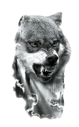 Yırtıcılar ★ Tehditkar Kurt Modeli (Geçici Dövme)