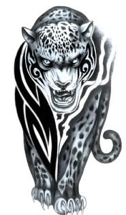 Yırtıcılar ★ Panter, Puma Dövmesi (Geçici Dövme)
