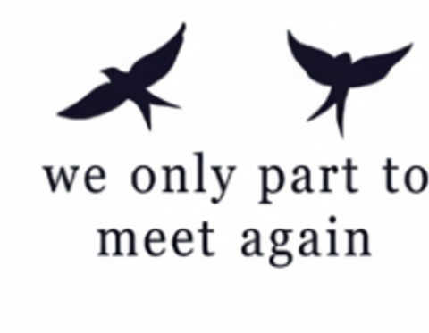 Yazılılar ★ We Only Part To Meet Again ve Kuşlar (Yarı Kalıcı Dövme)