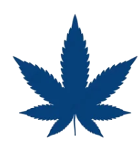 Sembol ★ Kenevir Yaprak (Yarı Kalıcı Dövme)