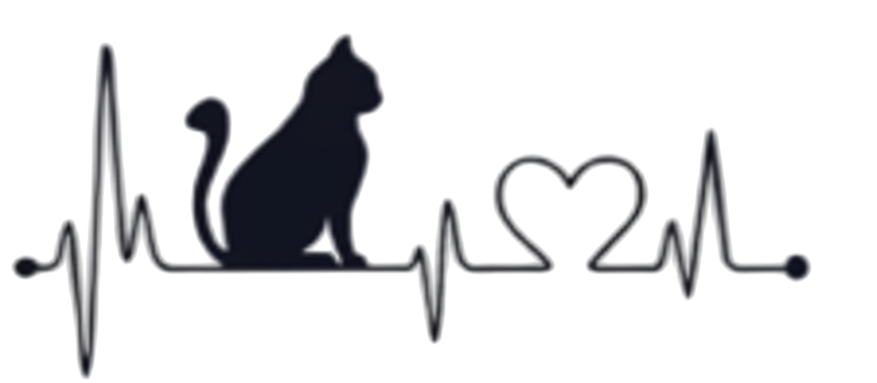 Evciller ★ Kedi, Nabız, Kalp Modeli (Yarı Kalıcı Dövme)
