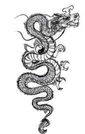 Efsanevi ★ Yin Yang, Çin Ejderhası Modeli (Geçici Dövme)