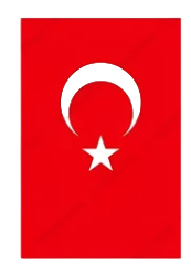 Sembol ★ Türk Bayrağı (Geçici Dövme)